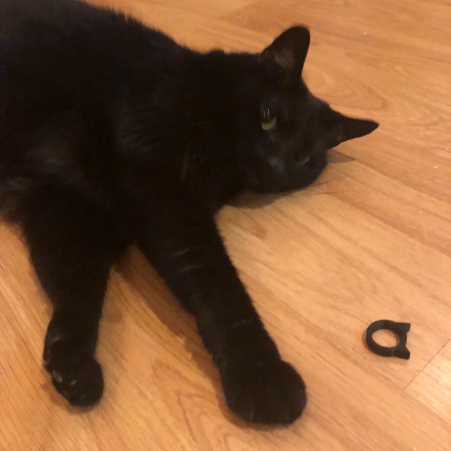 Kitty cat ring, 3d printed cat ring, black cat ring, cat ears ring gift