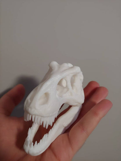 T-rex skull - 3D printed decorative model