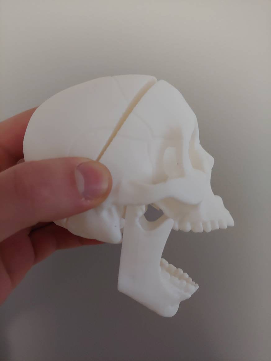 human skull - 3D printed plastic human skull decoration, toy