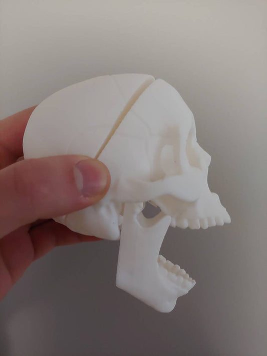 human skull - 3D printed plastic human skull decoration, toy