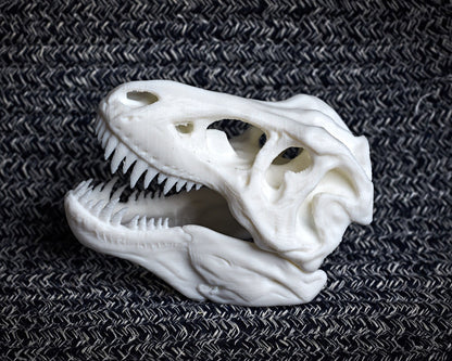 T-rex skull - 3D printed decorative model