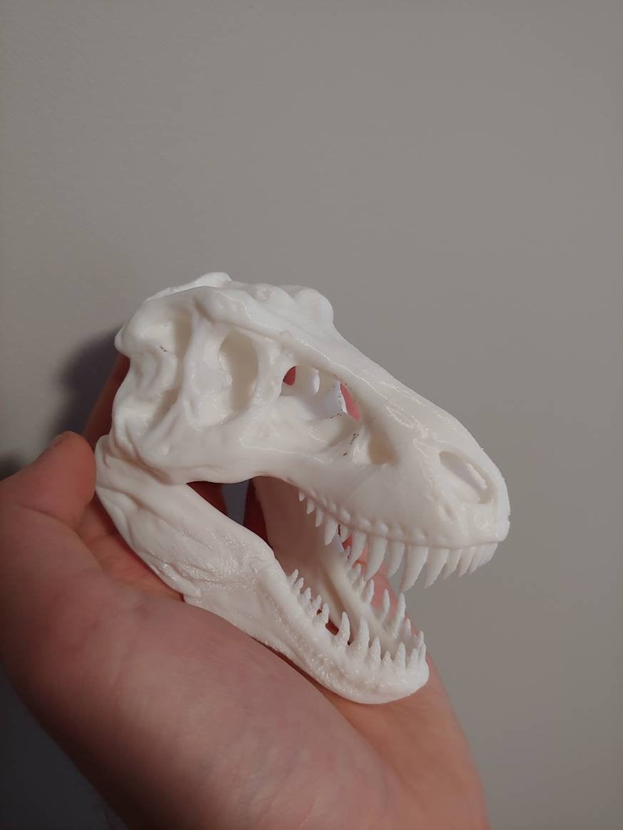 T-rex skull - 3D printed decorative model