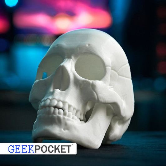 human skull - 3D printed plastic human skull decoration, toy