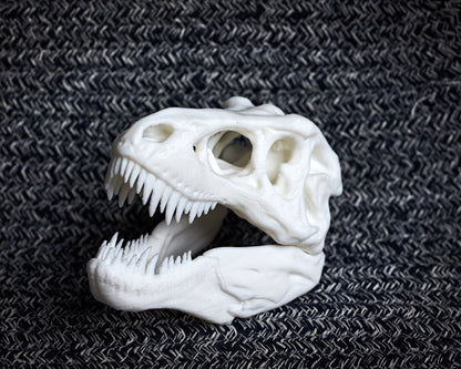 T-rex skull - 3D printed decorative model
