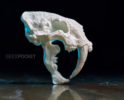 Saber-Toothed Cat skull